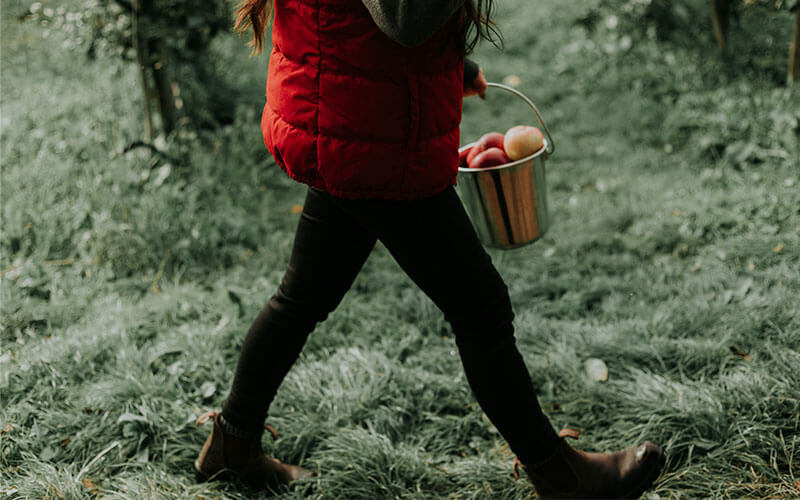 A woman walking through an orchard on a winters day.