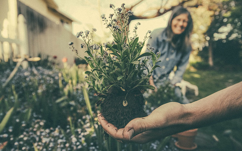 A hand holds up a small rooted plant in their hand. A woman can be seen with a beaming smile behind.