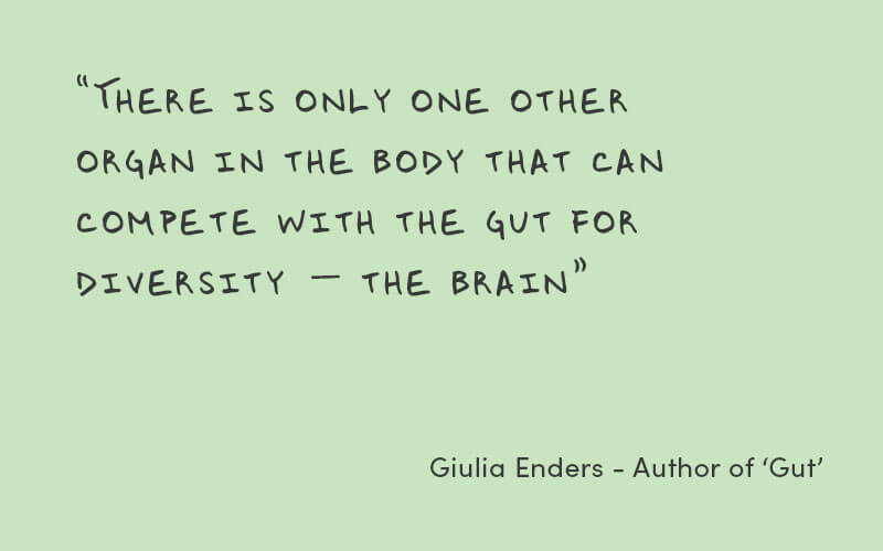 An image with a green background and a quote the author of 'Gut' (Giulia Enders) that reads, "There is only one other organ in the body that can compete with the gut for diversity — the brain".