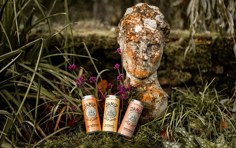 Three Jamu Wild Water cans lined up next to a stone statue of a head. It's very weathered and covered in lichen.