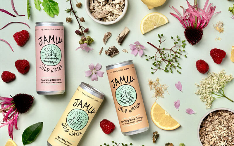 3 Jamu Wild Water cans lying on a pastel green background surrounded by our natural ingredients. It includes slices of lemon, echinacea flowers, raspberries and more.