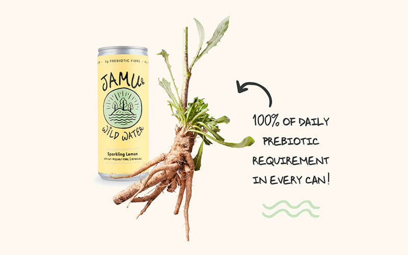 A Lemon Jamu Wild Water can against a cream coloured background. A cut out image of chicory root is slightly overlaid over the can, with an arrow and text next to it which reads, "100% of daily prebiotic requirement in every can".