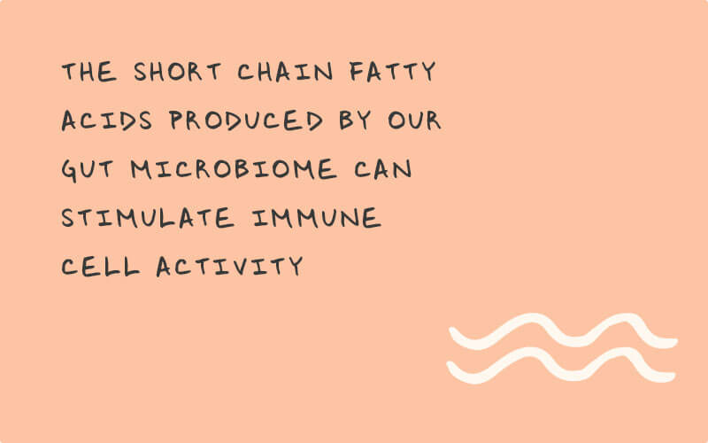 An image with text that reads, "the short chain fatty acids produced by our gut microbiome can stimulate immune cell activity".