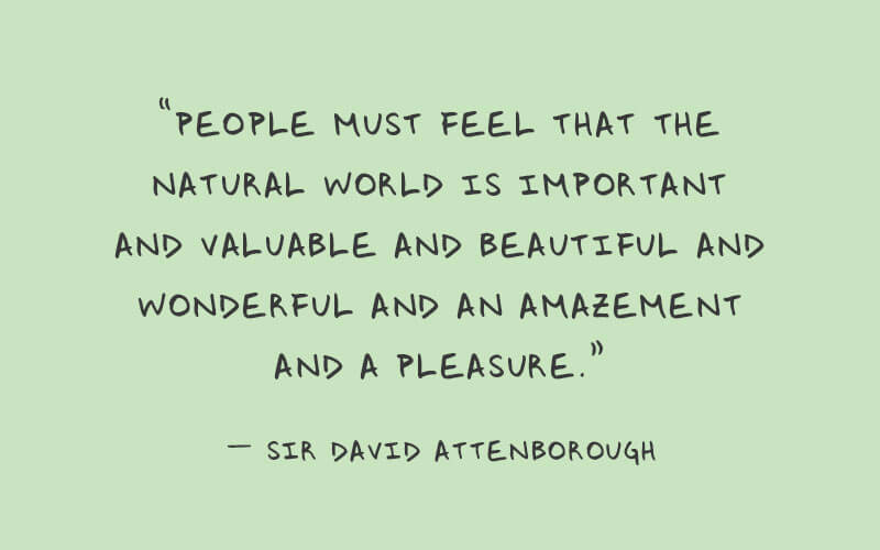 A quote from Sir David Attenborough that reads... “People must feel that the natural world is important and valuable and beautiful and wonderful and an amazement and a pleasure.”.