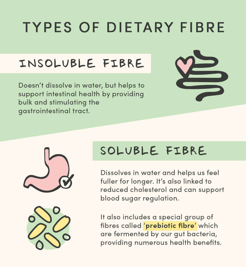 An info graphic that reads... Types of dietary fibre. Insoluble fibre: Doesn’t dissolve in water, but helps to support intestinal health by providing bulk and stimulating the gastrointestinal tract. Soluble fibre: Dissolves in water and helps us feel fuller for longer. It’s also linked to reduced cholesterol and can support blood sugar regulation. It also includes a special group of fibres called ‘prebiotic fibre’ which are fermented by our gut bacteria, providing numerous health benefits.