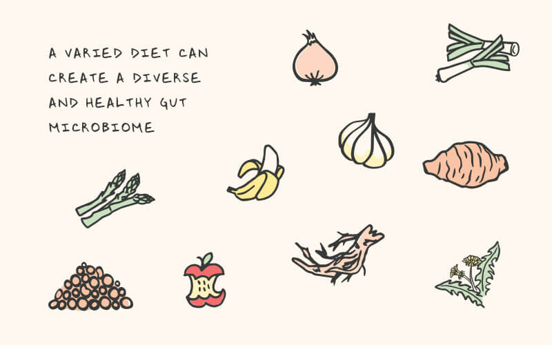 An image with text and icons that reads, "a varied diet can create a diverse and healthy gut microbiome", the icons show a range of illustrated plant-based foods, like legumes, onion, garlic, leek, banana and asparagus.