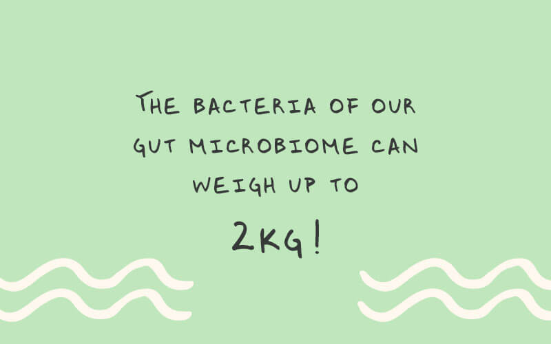 Image with text that reads, "The bacteria of our gut microbiome can weigh up to 2kg!".