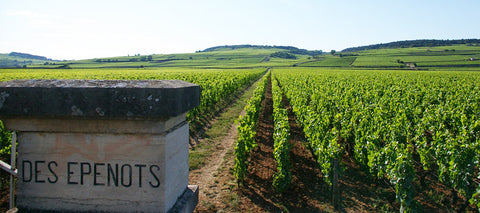 Domaine de Courcel Les Rugiens en Grand Clos des Epenots