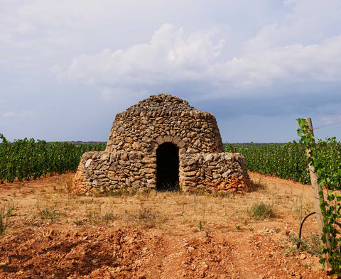 Masca del Tacco Susumaniello wijngaarden