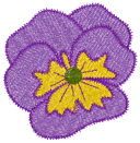 Pansy