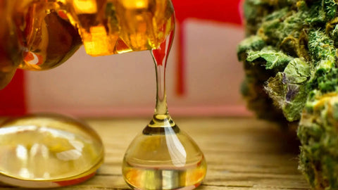 buy delta 9 distillate delta 9 thc distillate delta 9 thc delta 9 bulk hemp delta 9 distillatedistillate for sale