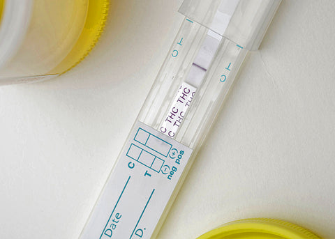 Delta 9 THC Test