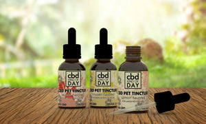 Pet Tinctures - CBD Kind of Day