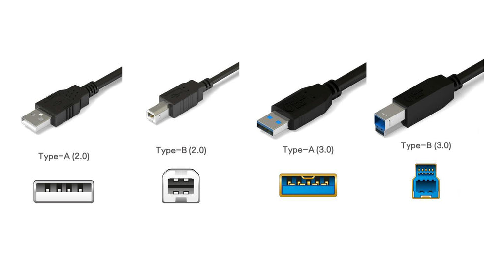 Will USB-C Dominate? Get to Know Different USB Connectors
