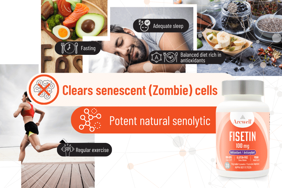 Arcwell Fisetin clears zombie cells with its potent natural senolytics