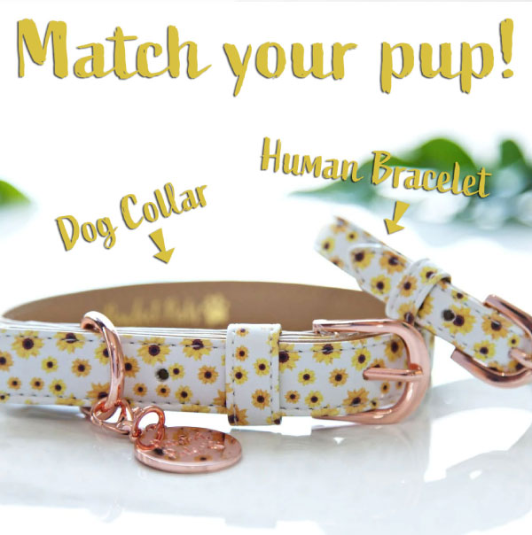 match your pup with a matching dog collar and human bracelet