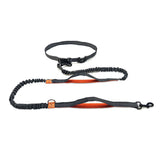 Orange Hands Free Running Leash