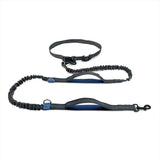 grey and blue hands free running lead