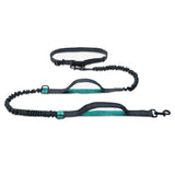 Teal hands free running leash