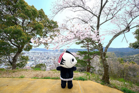 The mascot Katsuo Ningen stands looking down on the beautiful vista of his city in springtime. Sakura (cherry blossoms) are in magnificent pink bloom around him.