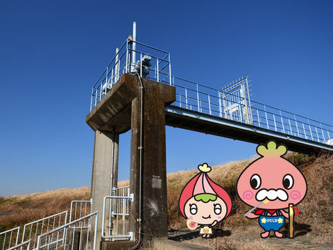 Kawamin and Kawabe, the official mascots of Kawajima Town in Japan's Saitama prefecture, stand beneath a small bridge in Kawajima Town. They are of course figs. It is noon, and Kawamin is biting into a delicious fig. Her grandfather, Kawabe, stares at her with crazed eyes as he eats something off of a fork.