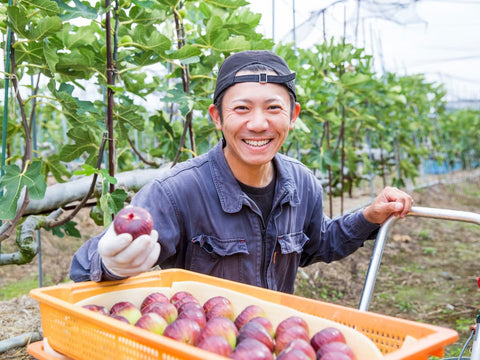 A japanese farmer smiles as he presents his tray of freshly picked figs.