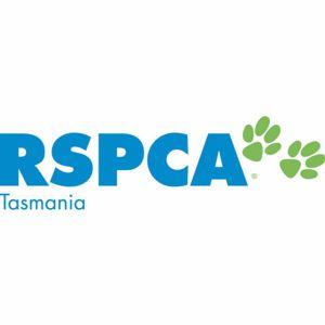 Pet Shop |  Pet supplies - Products & Food | Buy Online RSPCA TAS