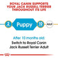 Royal Canin Canine Dry Jack Russel Terrier Puppy