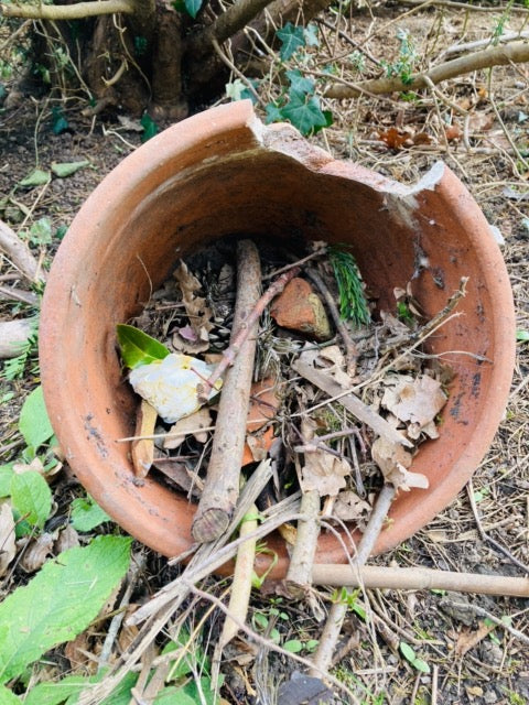 Leaves and sticks 