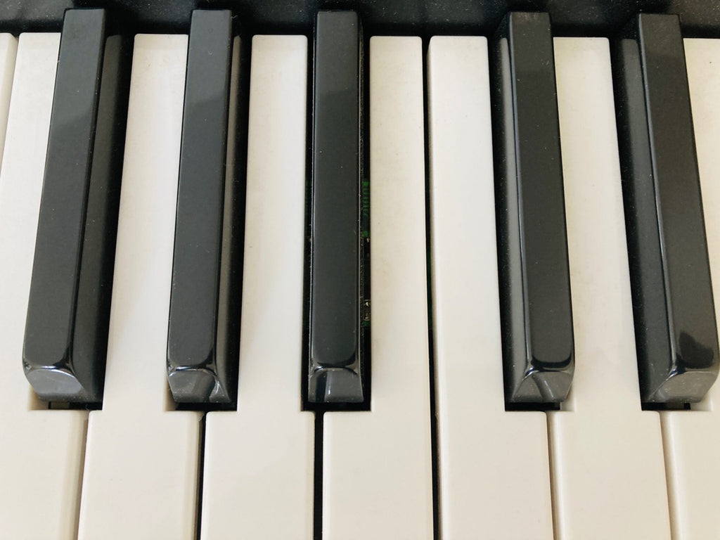Musical Instrument Keyboard
