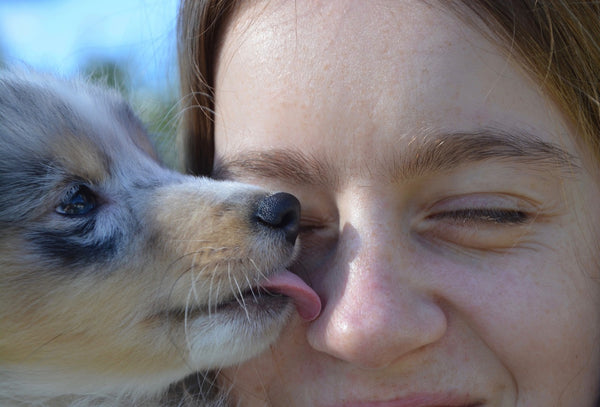 Puppy likt baasje in haar gezicht