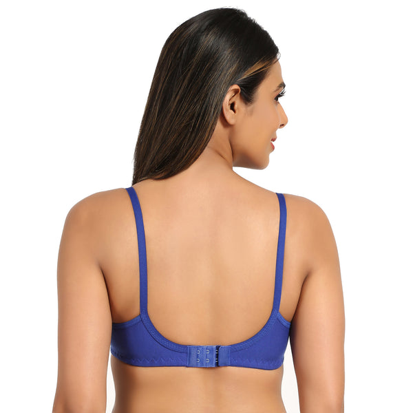 Buy ambitieux Plain T-Shirt Seamless Padded Colorful Daily Regular wear Bra  Combo Pack of 6 for Padded Non Wired Combo (Multi Pack)(Color May Vary)  (28) at