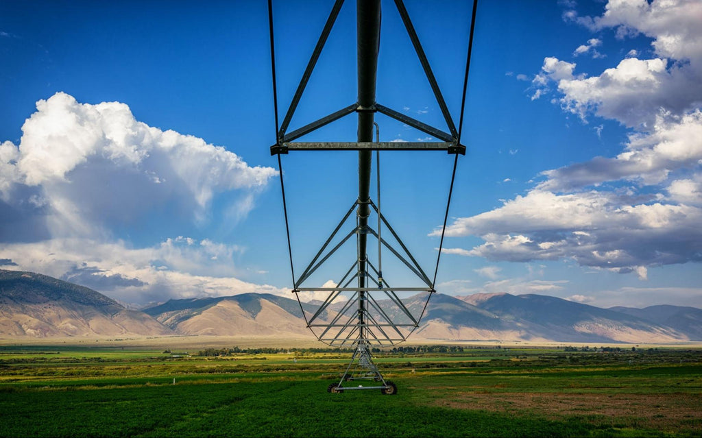 Irrigation machinery sits above a field of vegetation