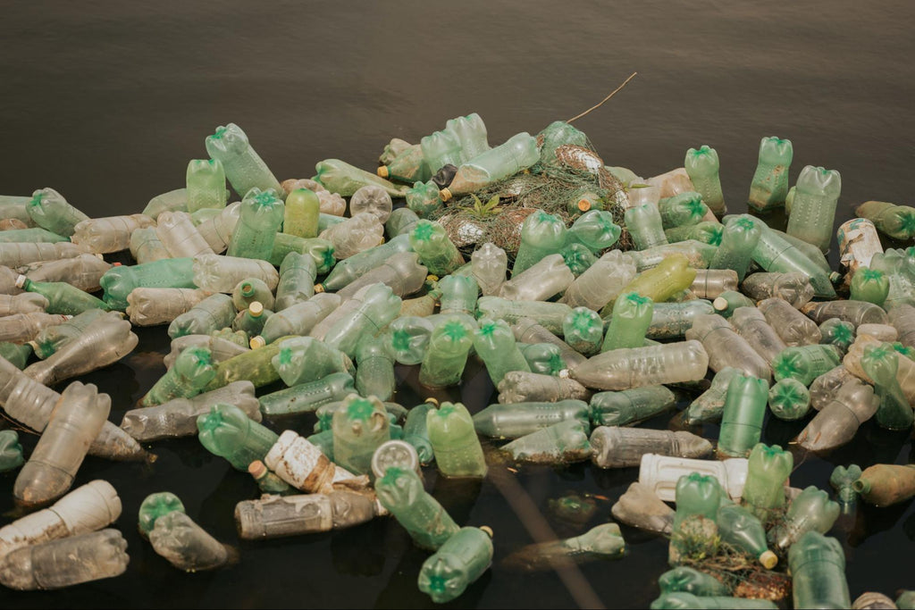 Plastic bottle dumped