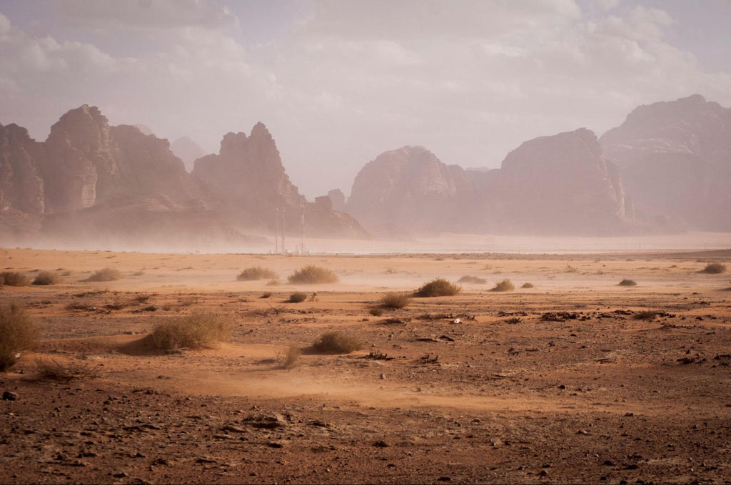 A dry and barren landscape grapples with a drought.