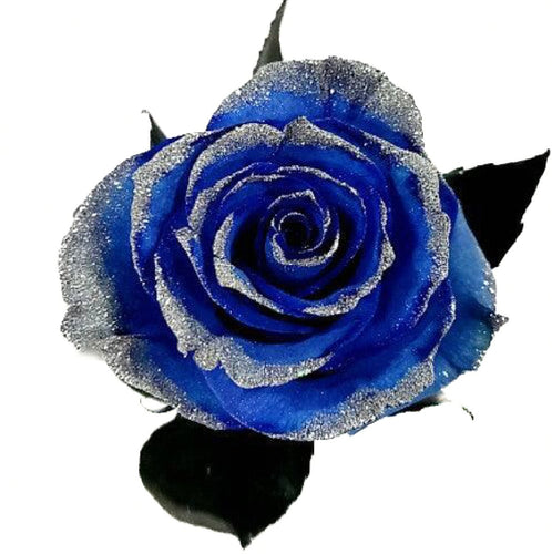 Blue Tinted Rose Bouquet with Silver Glitter 12-Stem