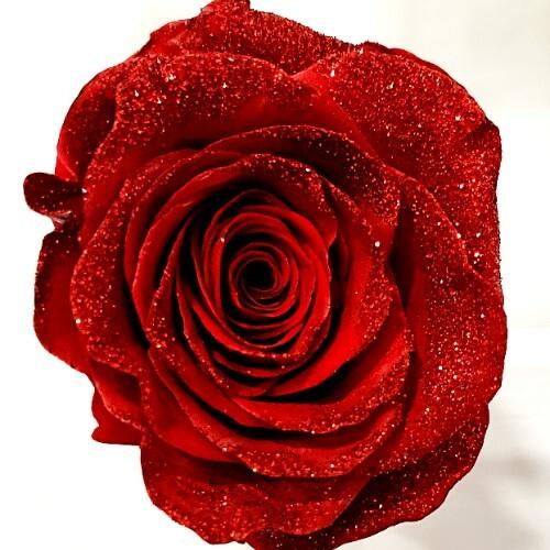 Red Roses with Gold Glitter - Pack 100