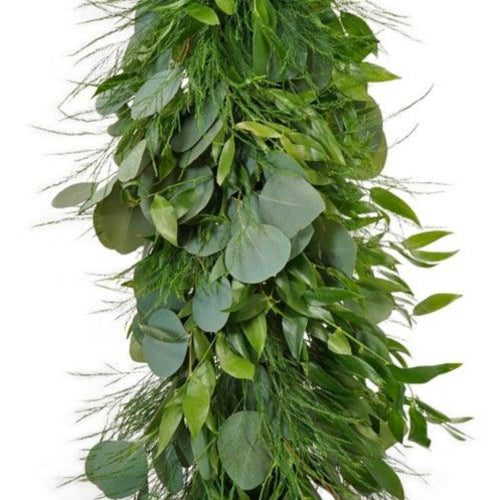 Plumosa Fern Garland