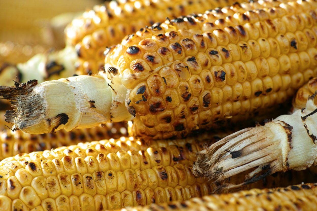 Grilled corn