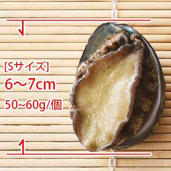 お徳用の北海道産天然活〆蝦夷アワビ（冷凍・刺身用）殻付きアワビ - 上野屋