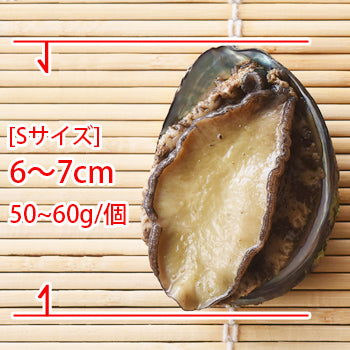 天然アワビ 刺身