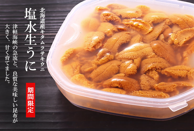 北海道松前産の塩水生ウニ　季節限定　獲れた新鮮なウニの旨味をご堪能-上野屋