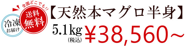 本マグロの半身を卸価格でご提供