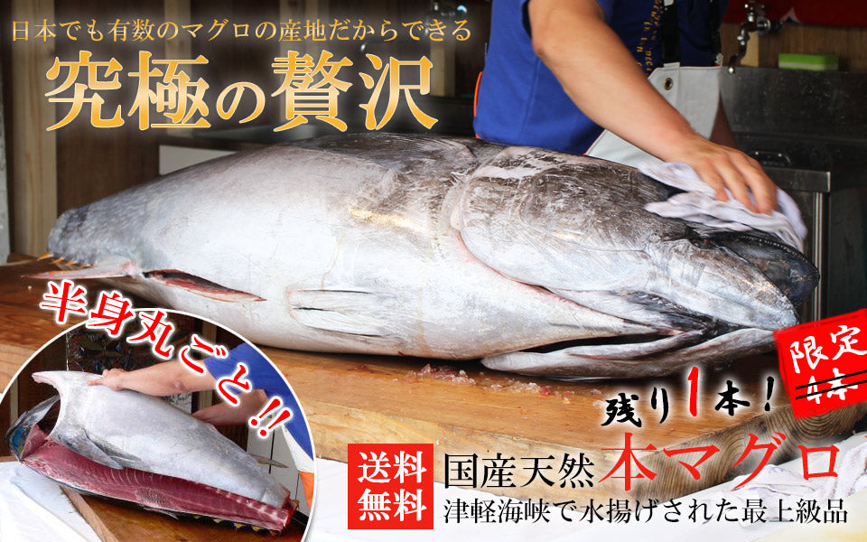 本マグロの半身