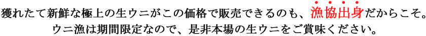 殻付きウニは水揚げ後にすぐ発送