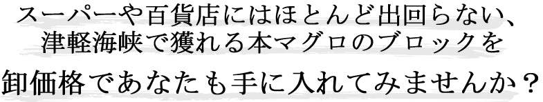 津軽海峡産のマグロブロックを卸価格で販売