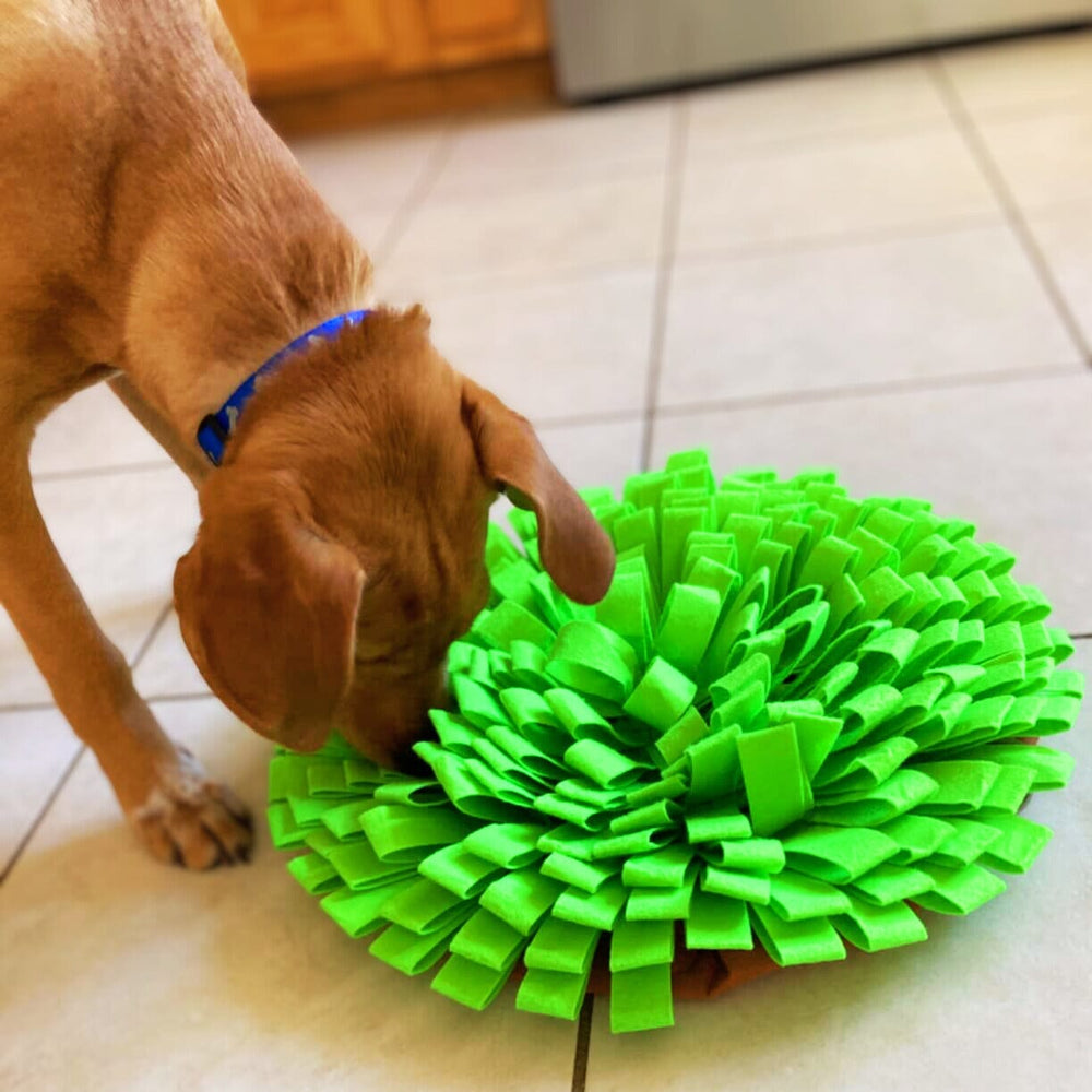 Puppy Snuffle Mat, Snuffle Dog Toy, Happy Farm Carrot Design Dog Snuffle  Interactive Toys Foraging Instinct Training Suitable For Small Medium Large