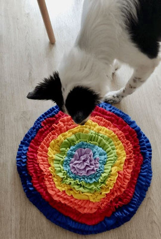 rainbow snuffle mat