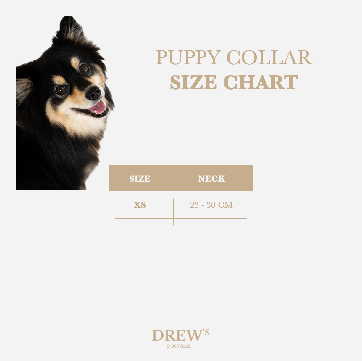 size-chart-puppy-collar