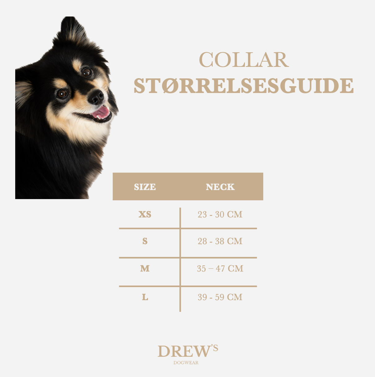 size-chart-dog-collar